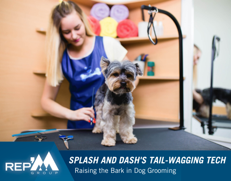 Paws and Pixels Elevating Dog Grooming with Splash and Dash’s Tail