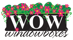 WOW+logo WOW+logo